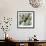 Radishes-Stacy Bass-Framed Giclee Print displayed on a wall