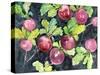 Radishes-Neela Pushparaj-Stretched Canvas