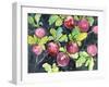 Radishes-Neela Pushparaj-Framed Giclee Print