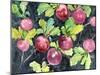 Radishes-Neela Pushparaj-Mounted Giclee Print