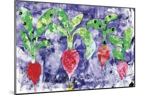 Radishes-Summer Tali Hilty-Mounted Giclee Print