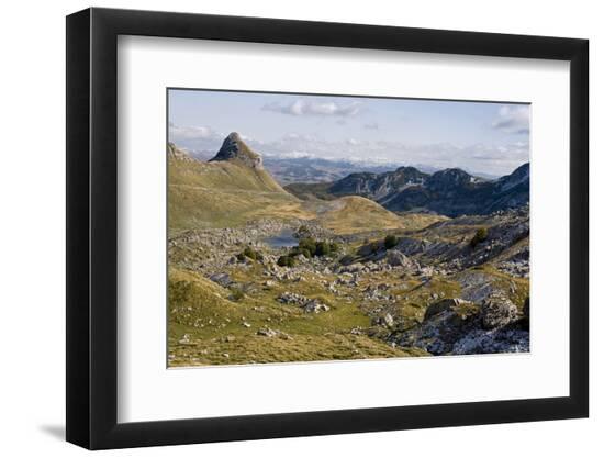 Premium Photographic Print, , large