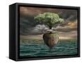 Canvas Black
