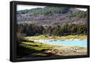 Essential Black