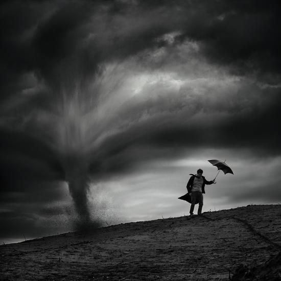 Photographic Print, , large