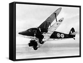 Raf De Havilland Dragon Rapide Dominie Configured as an Air Ambulance During WW2, 1942-null-Framed Stretched Canvas