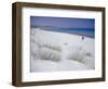 Raf Raf Beach, North Coast, Tunisia, North Africa, Africa-David Beatty-Framed Photographic Print