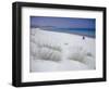 Raf Raf Beach, North Coast, Tunisia, North Africa, Africa-David Beatty-Framed Photographic Print