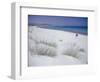 Raf Raf Beach, North Coast, Tunisia, North Africa, Africa-David Beatty-Framed Photographic Print