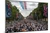 RAF Red Arrows fly the red white and blue down the Mall-Associated Newspapers-Mounted Photo