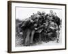 Raf Squadron with their Dog-Associated Newspapers-Framed Photo