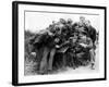 Raf Squadron with their Dog-Associated Newspapers-Framed Photo