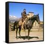 Raf Vallone-null-Framed Stretched Canvas