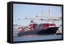 Framed Canvas