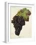 Rafajone Noir Grape-J. Troncy-Framed Giclee Print