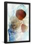 Essential Black