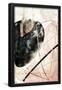Essential Black