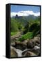 Canvas Black
