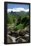 Essential Black