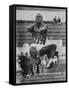 Rafer Johnson in Decathlon Broad Jump in Olympics-James Whitmore-Framed Stretched Canvas