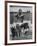 Rafer Johnson in Decathlon Broad Jump in Olympics-James Whitmore-Framed Premium Photographic Print