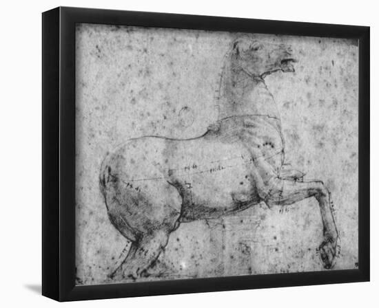 Raffael (Horse study) Art Poster Print-null-Framed Poster