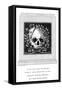 Raffaello's Skull-null-Framed Stretched Canvas