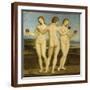 Brown Frame