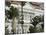 Raffles Hotel, Singapore, South East Asia-Amanda Hall-Mounted Photographic Print