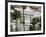 Raffles Hotel, Singapore, South East Asia-Amanda Hall-Framed Photographic Print