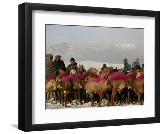 Photographic Print, , large
