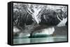 Raft on the Tasman Glacier Terminal Lake, South Island, New Zealand-David Noyes-Framed Stretched Canvas