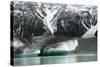 Raft on the Tasman Glacier Terminal Lake, South Island, New Zealand-David Noyes-Stretched Canvas