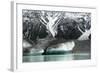 Raft on the Tasman Glacier Terminal Lake, South Island, New Zealand-David Noyes-Framed Photographic Print