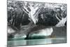 Raft on the Tasman Glacier Terminal Lake, South Island, New Zealand-David Noyes-Mounted Photographic Print