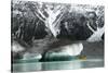 Raft on the Tasman Glacier Terminal Lake, South Island, New Zealand-David Noyes-Stretched Canvas