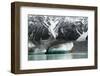 Raft on the Tasman Glacier Terminal Lake, South Island, New Zealand-David Noyes-Framed Photographic Print