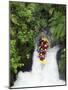 Raft, Tutea's Falls, Okere River, near Rotorua, New Zealand-David Wall-Mounted Photographic Print