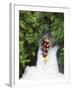 Raft, Tutea's Falls, Okere River, near Rotorua, New Zealand-David Wall-Framed Photographic Print