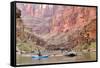 Rafters and Cliffs, Grand Canyon National Park, Arizona, USA-Matt Freedman-Framed Stretched Canvas