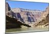 Rafters, Colorado River, Grand Canyon National Park, Arizona, USA-Matt Freedman-Mounted Photographic Print