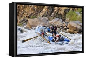 Rafters Going Through Rapids, Grand Canyon National Park, Arizona, USA-Matt Freedman-Framed Stretched Canvas