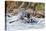 Rafters Going Through Rapids, Grand Canyon National Park, Arizona, USA-Matt Freedman-Stretched Canvas