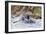 Rafters Going Through Rapids, Grand Canyon National Park, Arizona, USA-Matt Freedman-Framed Photographic Print