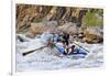 Rafters Going Through Rapids, Grand Canyon National Park, Arizona, USA-Matt Freedman-Framed Photographic Print