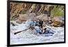 Rafters Going Through Rapids, Grand Canyon National Park, Arizona, USA-Matt Freedman-Framed Photographic Print