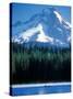 Rafting on Frog Lake, Mt. Hood in Background, Oregon, USA-Janis Miglavs-Stretched Canvas
