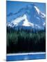 Rafting on Frog Lake, Mt. Hood in Background, Oregon, USA-Janis Miglavs-Mounted Premium Photographic Print