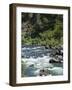 Rafting on the South Fork of the Trinity River-Michael DeFreitas-Framed Photographic Print