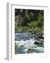 Rafting on the South Fork of the Trinity River-Michael DeFreitas-Framed Photographic Print